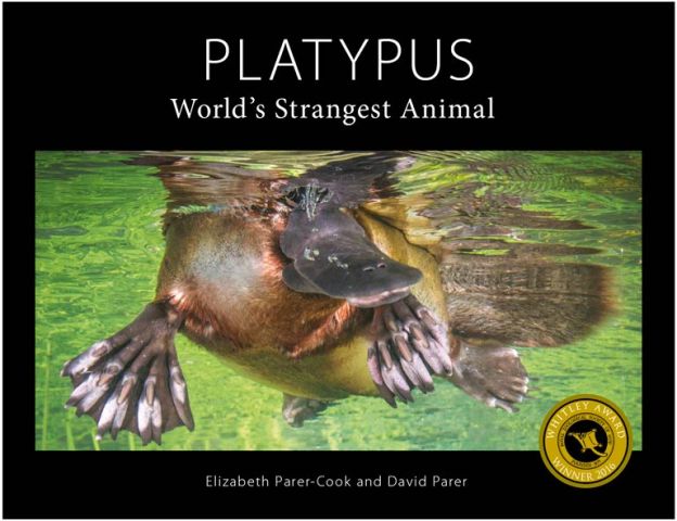Platypus – World's Strangest Animal | David Parer & Elizabeth Parer-Cook